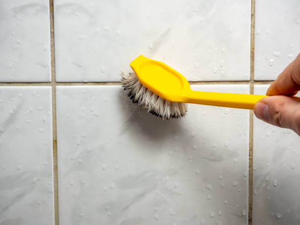 Best Health and Safety Mold Remediation in Morgan Hill, CA